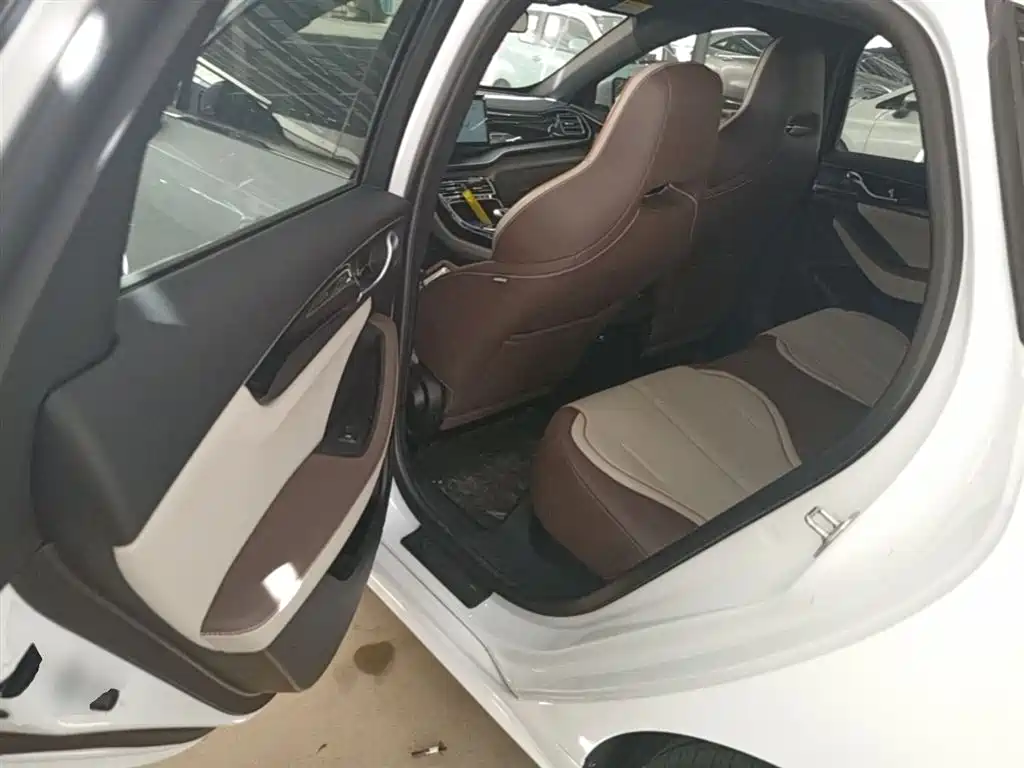 BYD Qin PLUS 2024 Glory Edition EV 510KM Leading фото 17
