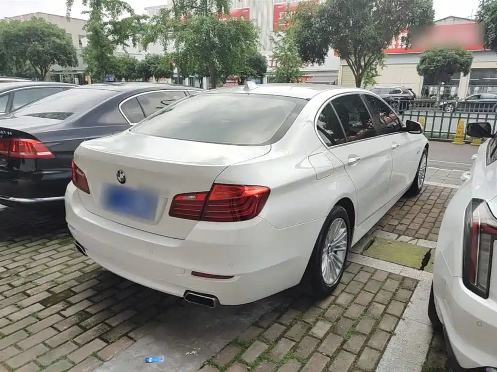 BMW 5 Series 2014 525Li Leading фото 7
