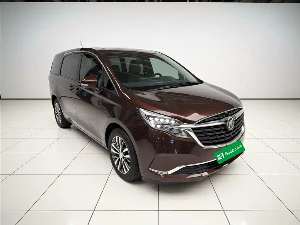 Buick GL8 2021 ES Landlord 653T Premium фото 4