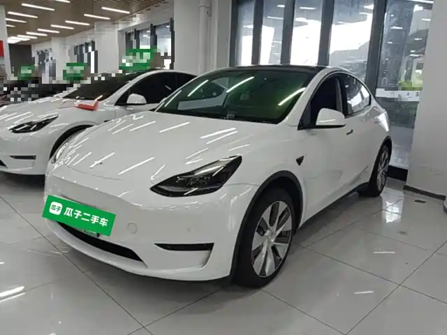 Tesla Model Y Задний привод