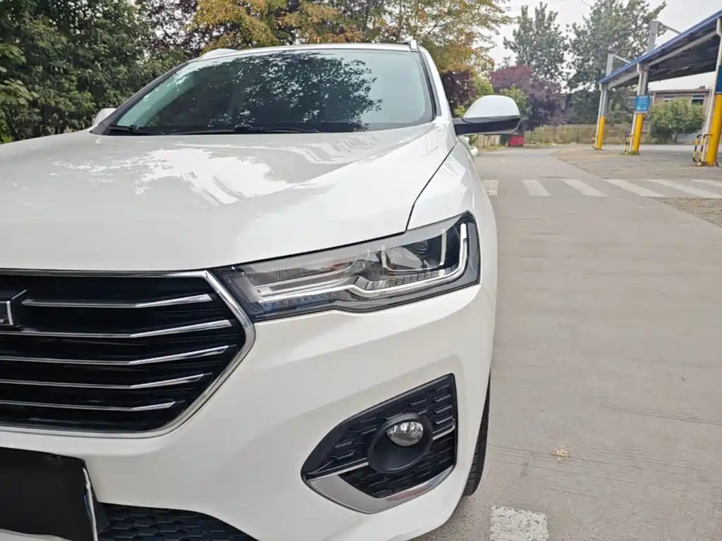 Haval H4 2019 2019 1.5GDIT DCT Luxury Smart Connection China VI
