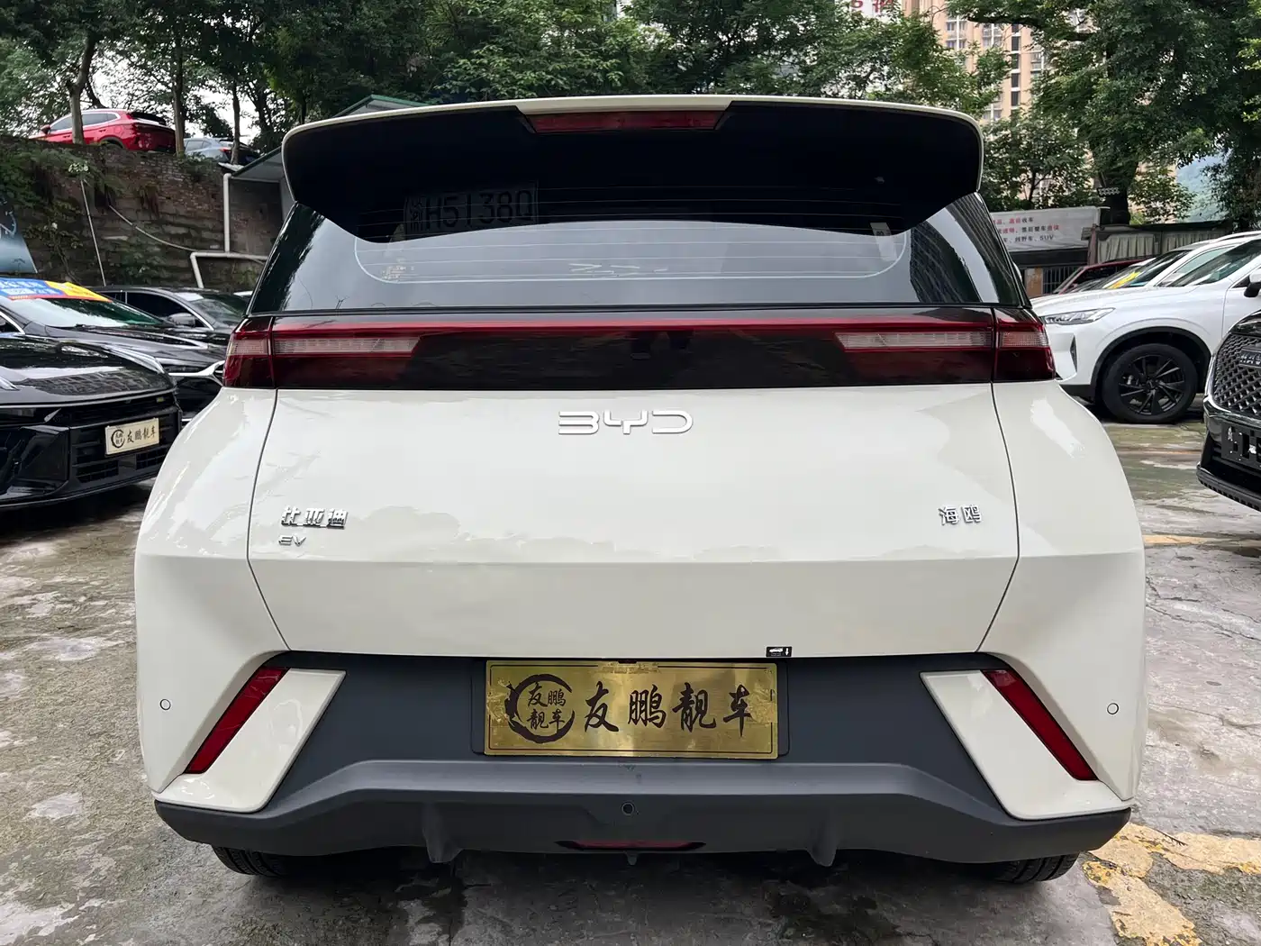 BYD Seagull 2024 Glory Edition 305km Vitality Edition фото 18