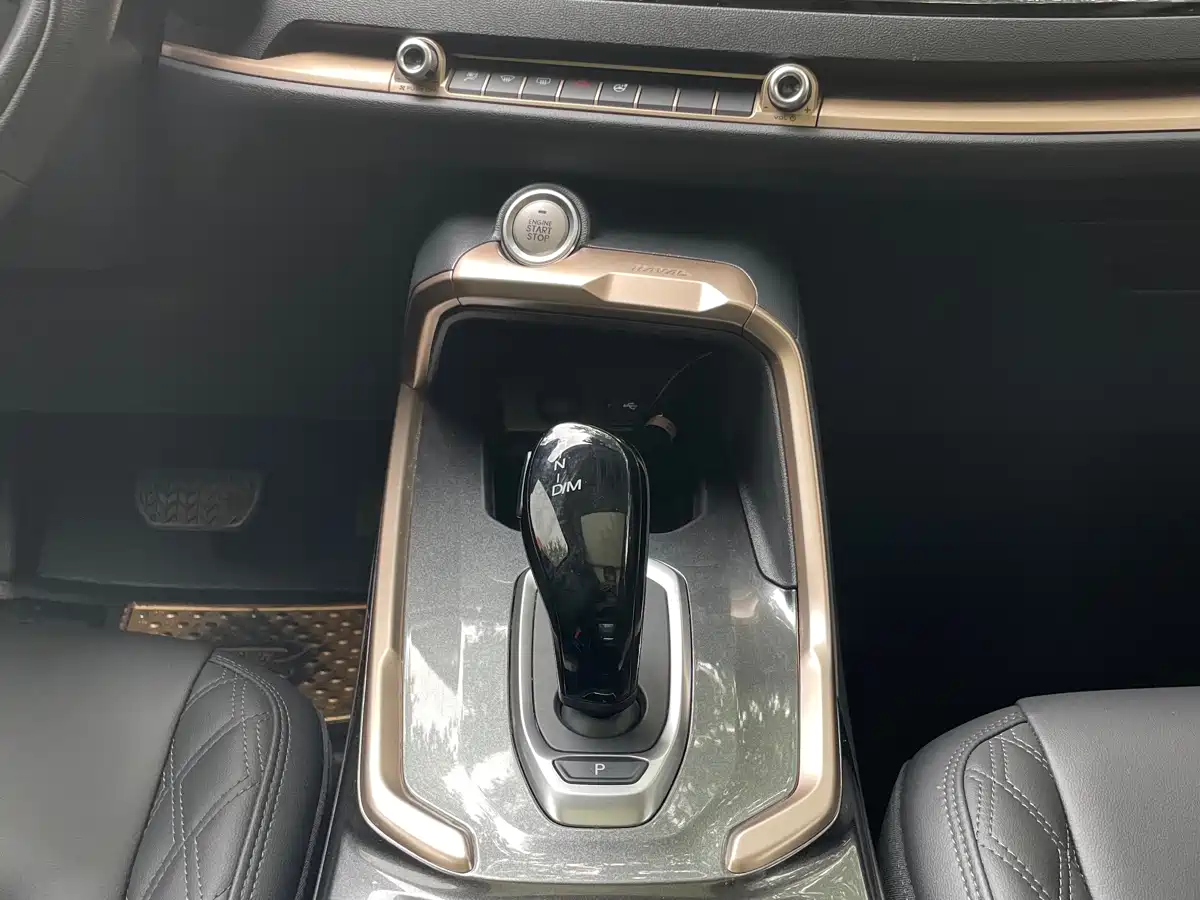 Haval H6 2020 1.5GDIT Automatic Platinum Urban Edition фото 8