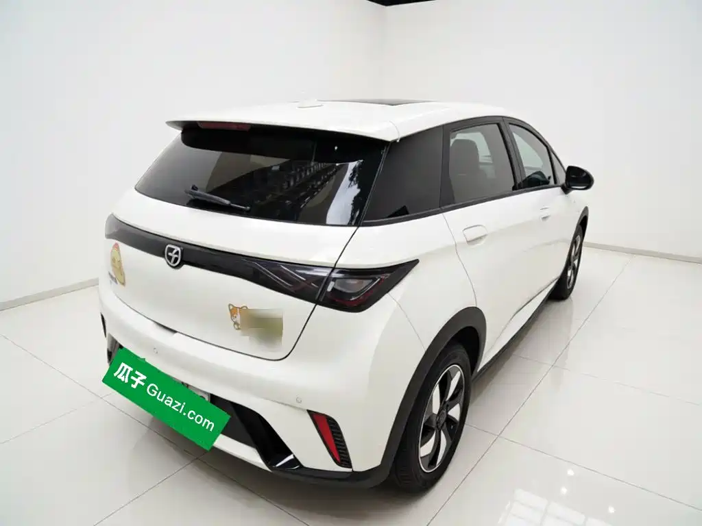 BYD Dolphin 2026 2025 420km Freedom Edition