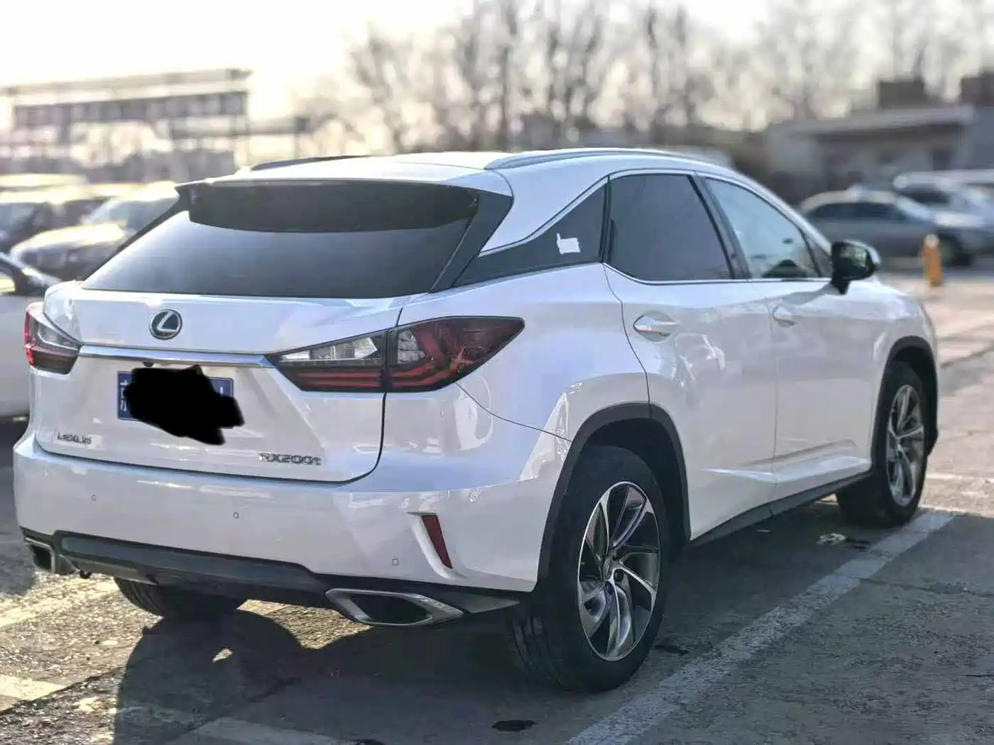 Lexus RX 2016 300 4WD Elegance Edition (China V) фото 7