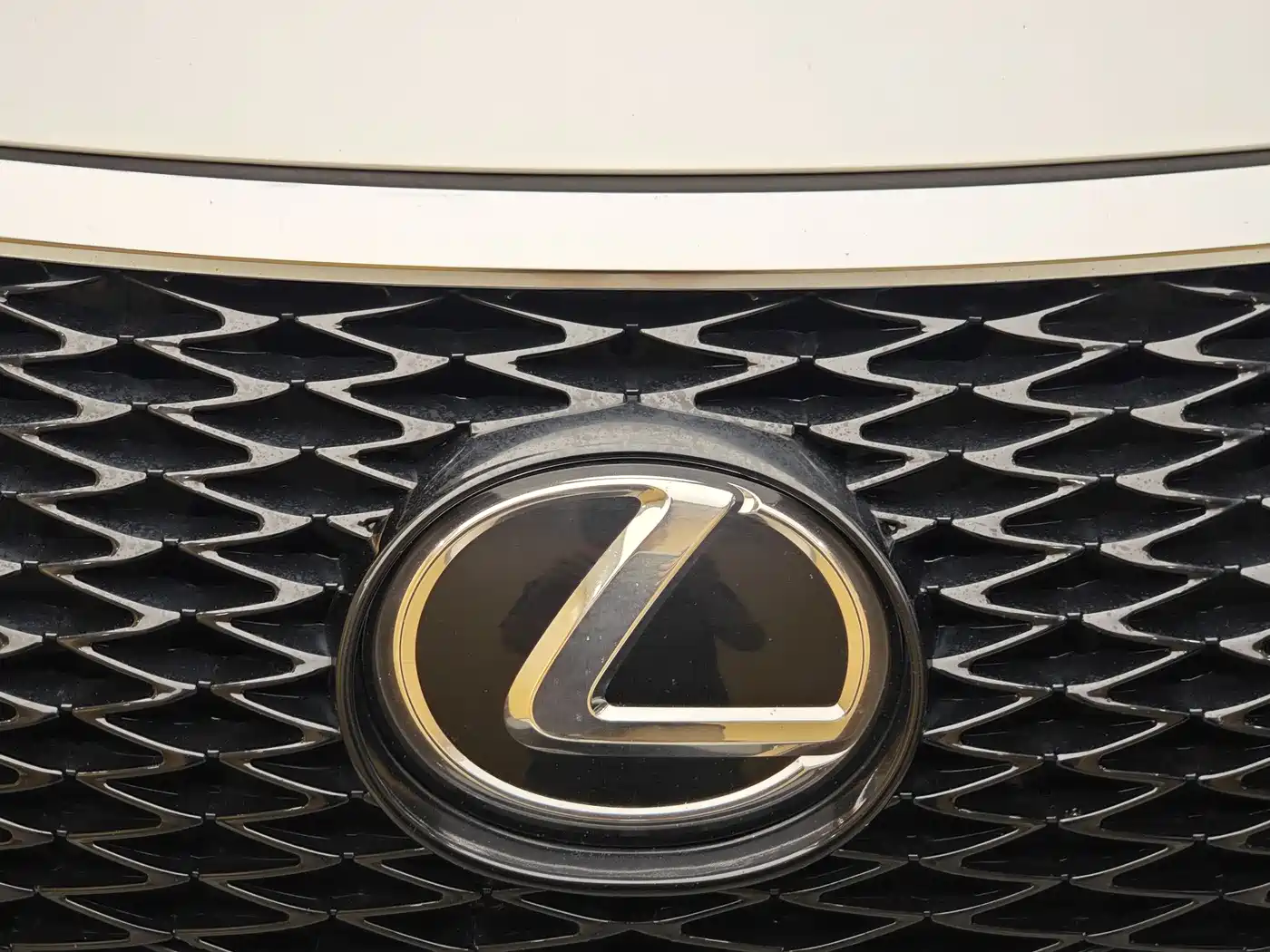 Lexus RX 2016 300 2WD Elite Edition (China V) фото 3