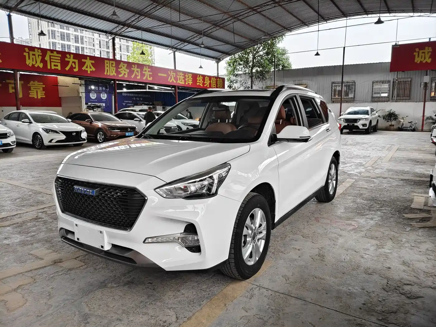 HAVAL M6