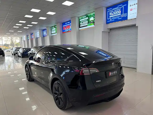 Tesla Model Y 2023 Rear-Wheel Drive Edition — фото 4