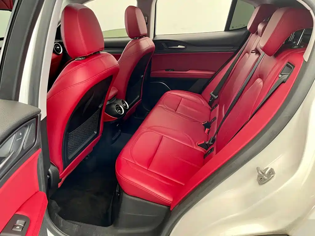 Alfa Romeo Stelvio 2019 2017 2.0T 200HP Elite