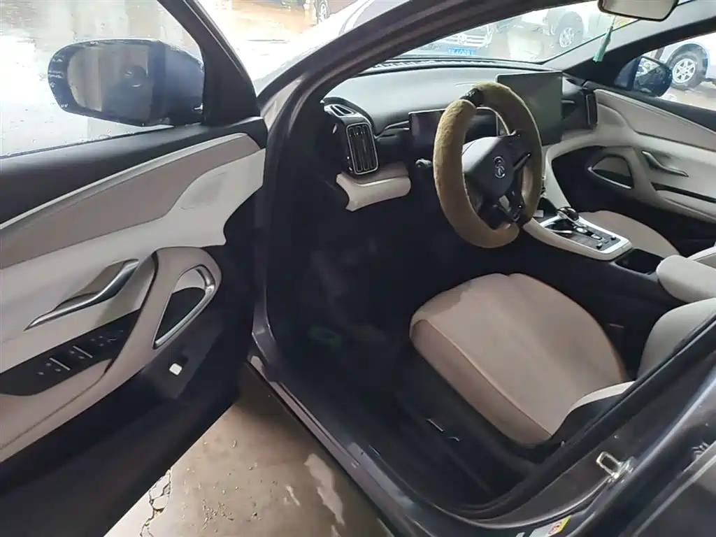 BYD Song Pro New Energy 2023 Champion Edition DM-i 110KM Excellence фото 16