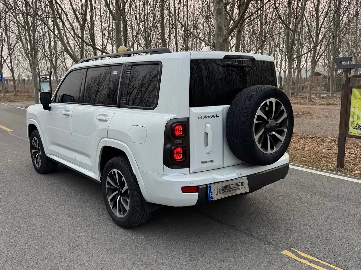 HAVAL H9