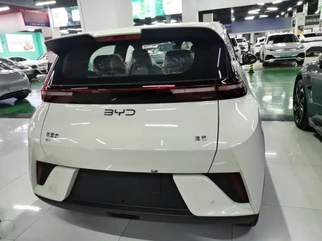 BYD Seagull 2026 2025 Smart Drive Edition 305km Vitality Version