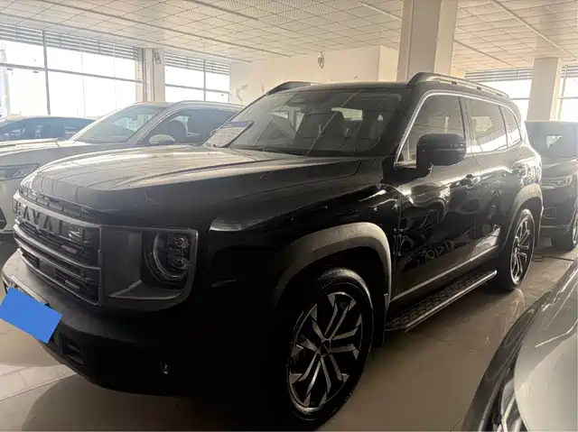 Haval Dargo 1.5T DCT, Бордер-колли