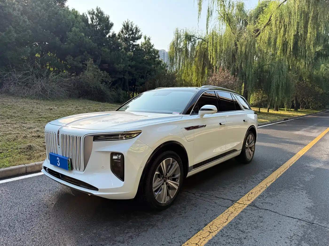 Hongqi E-HS9 2023 2022 690km Qi Xiang Edition (6-seater)