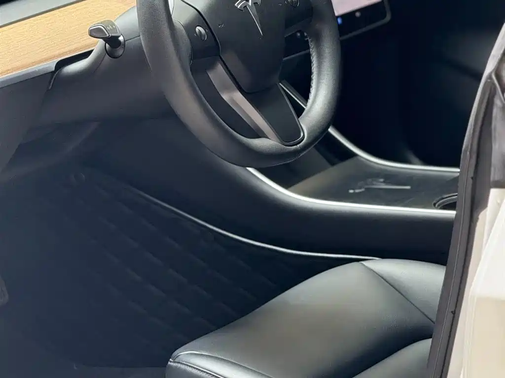 Tesla Model 3 2019 Standard Range Rear-Wheel Drive Upgrade фото 11