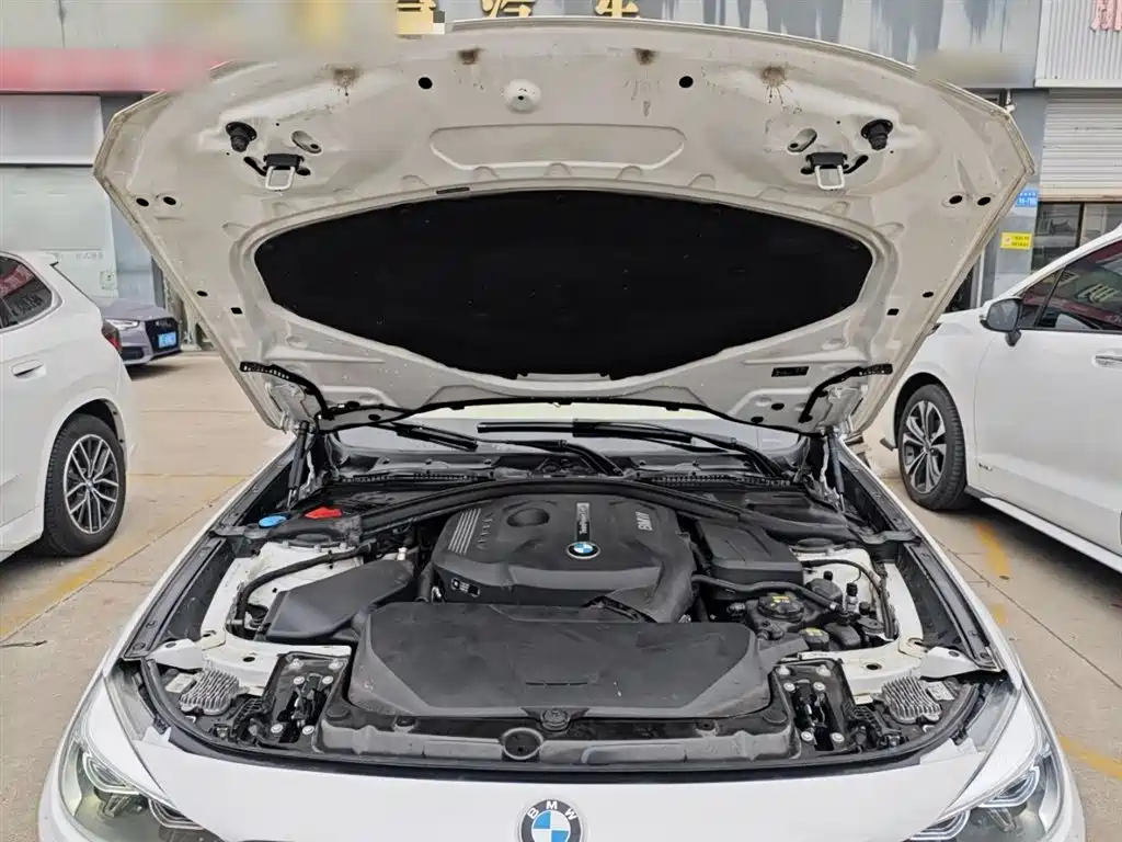 BMW 3 Series GT 2017 320i Fashion фото 16