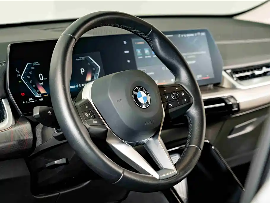 BMW X2 (Import) 2024 sDrive25i M Sport Package фото 11