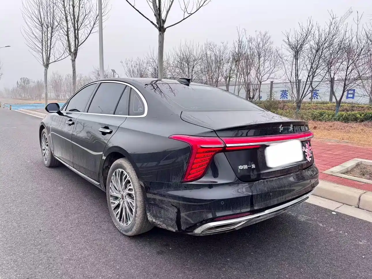 Hongqi H5 2025 2.0T Automatic Flag Celebration 500,000 Units Anniversary Edition фото 7