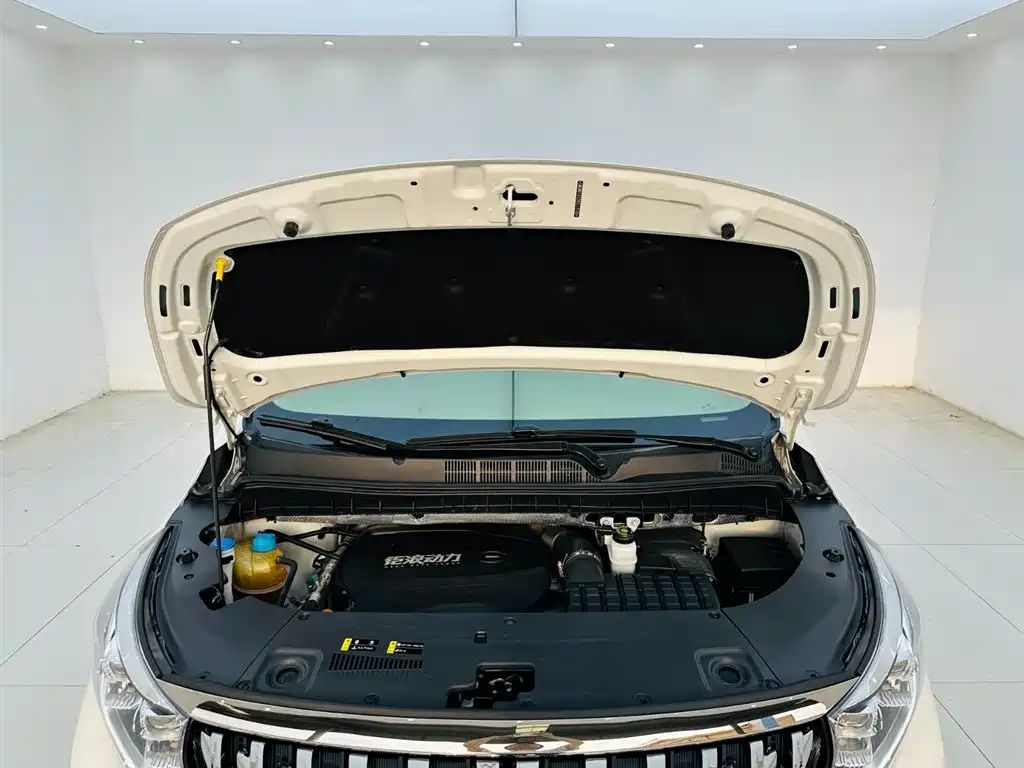 GAC Trumpchi Trumpchi M8 2021 Leading Show Series 390T Premium Edition фото 24