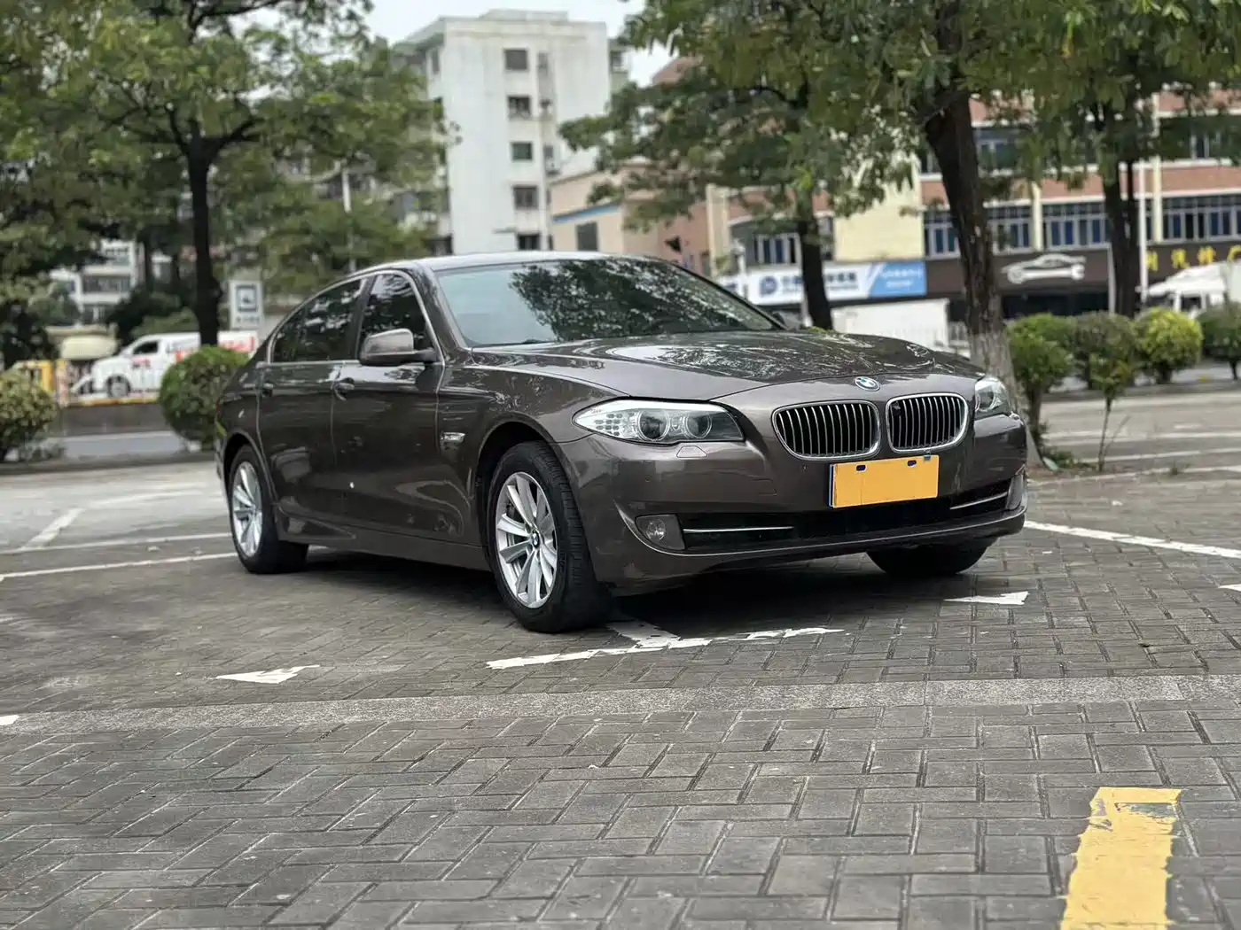BMW 5 Series 2013 525Li Luxury фото 3