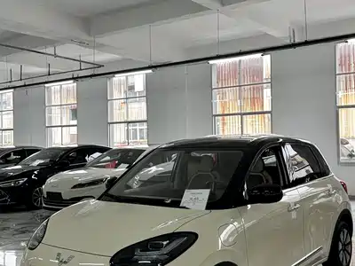 Wuling Bingo