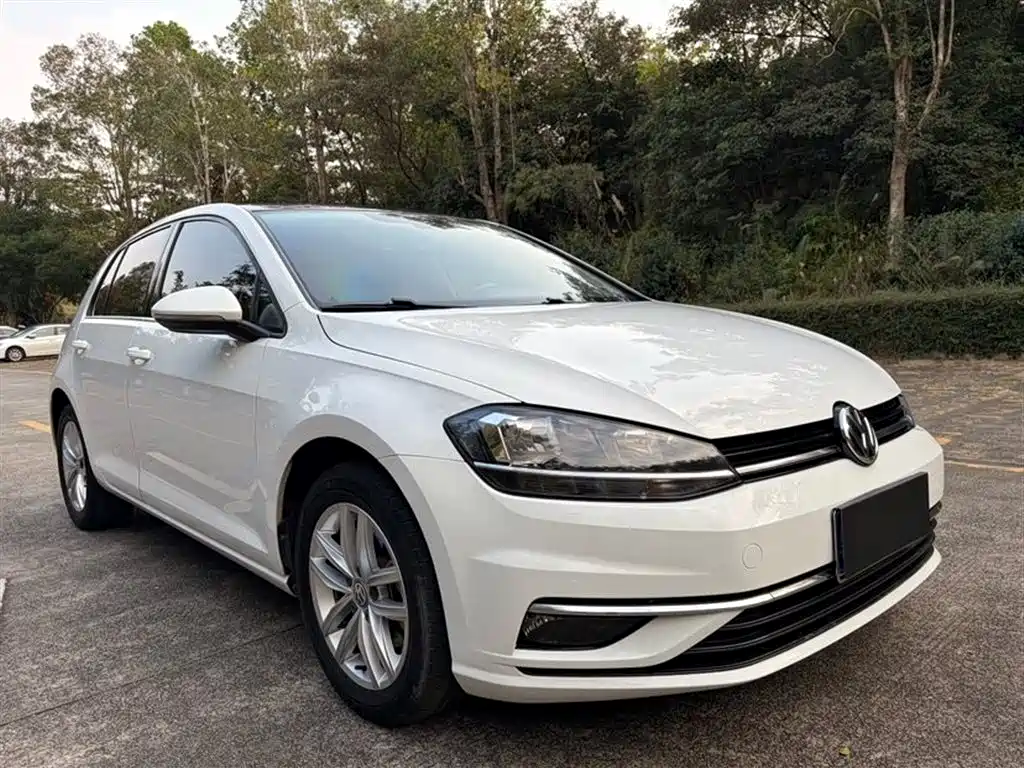 Volkswagen Golf 2019 280TSI DSG Comfort China VI фото 3