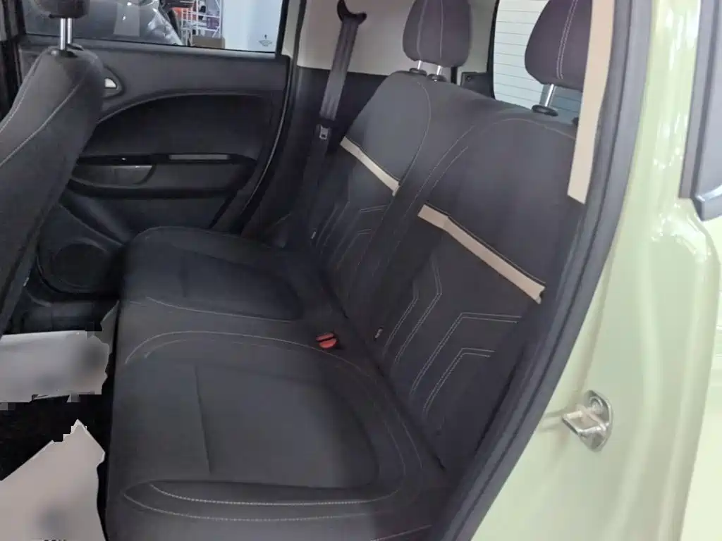 Ora White Cat 2021 2022 Upgraded 305km Luxury (NMC)