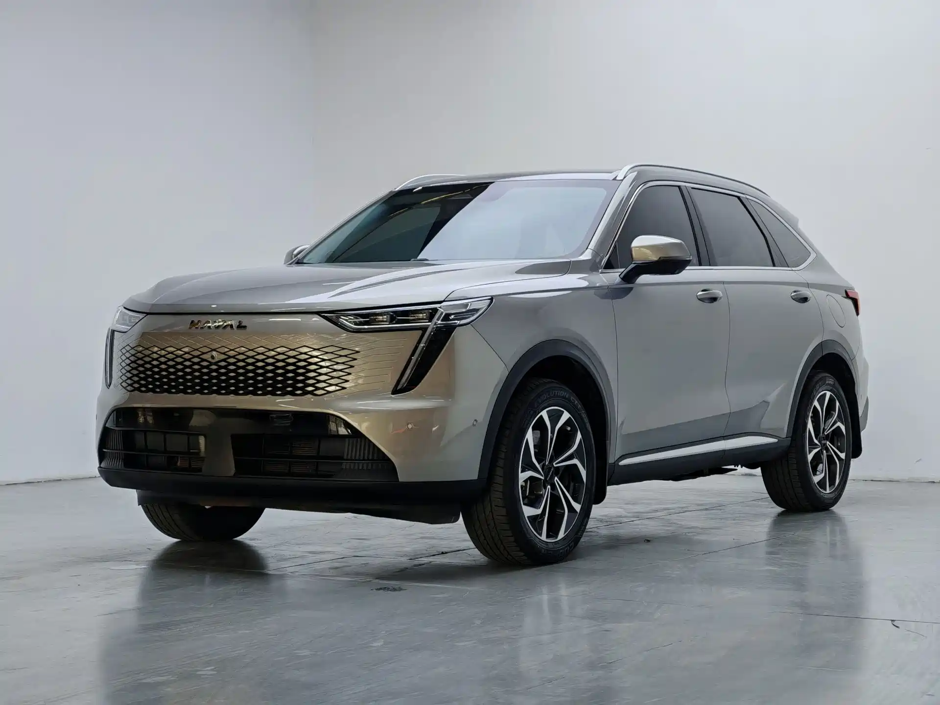 Фото 1 - Haval Xiaolong MAX