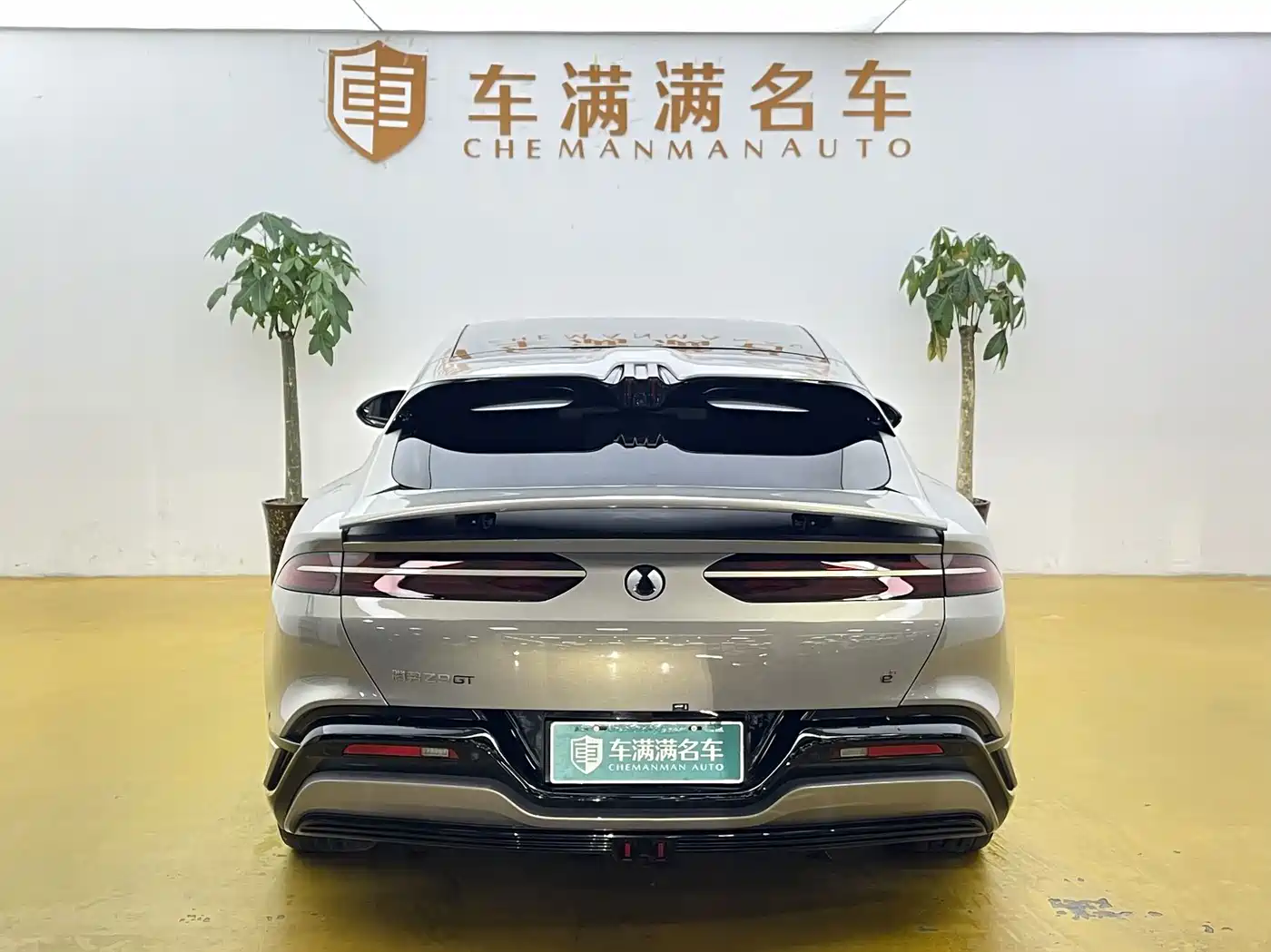 Photo 10 - Denza Z9GT