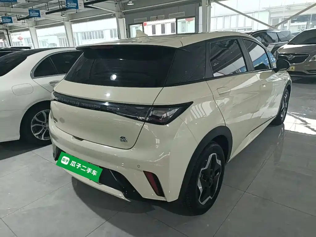 Фото 7 - BYD Dolphin