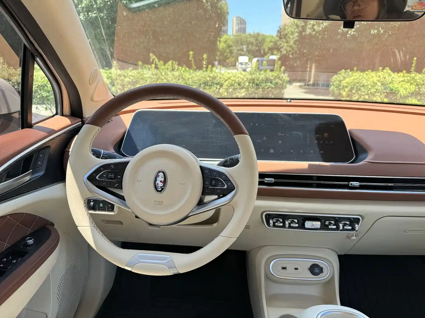 Ora Good Cat 2023 2023 401km Standard Range Luxury LFP