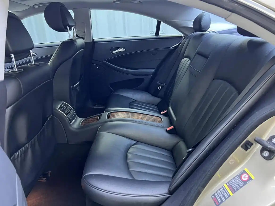 Mercedes-Benz CLS 2010 2009 CLS 300
