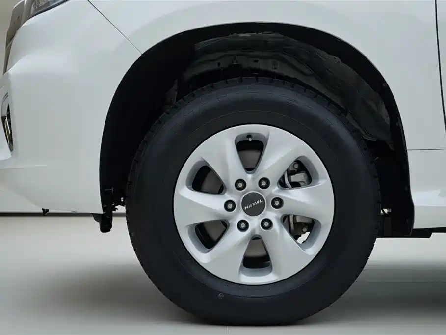 Haval H9 2022 2.0T Gasoline 4WD Elite 5-Seater фото 15