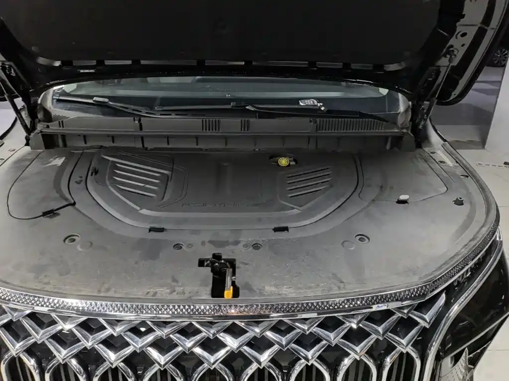 Dongfeng Fengxing Starlight V9 2025 2024 1.5TD 200km Chinese Knot Series Exclusive