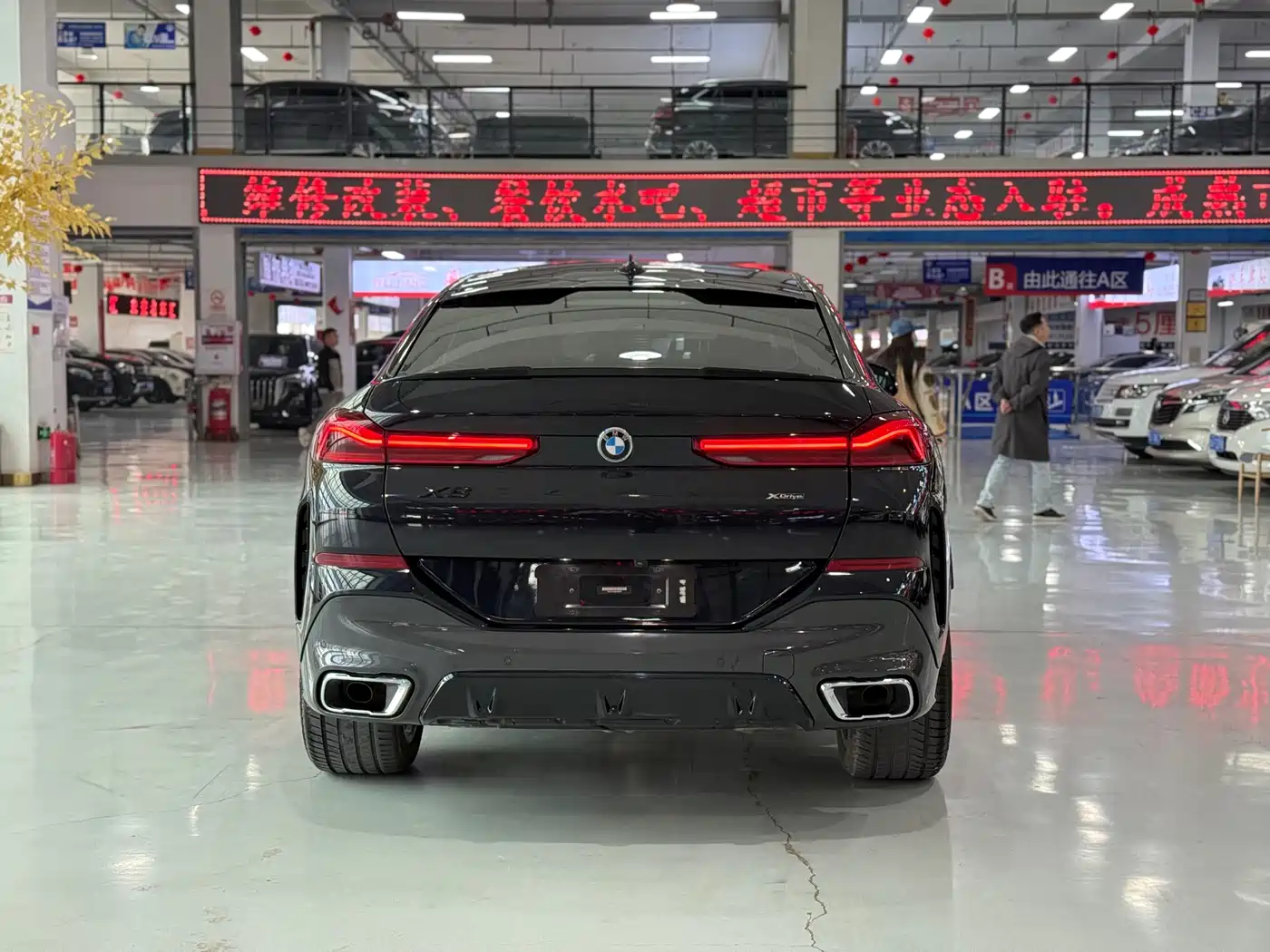 BMW X6