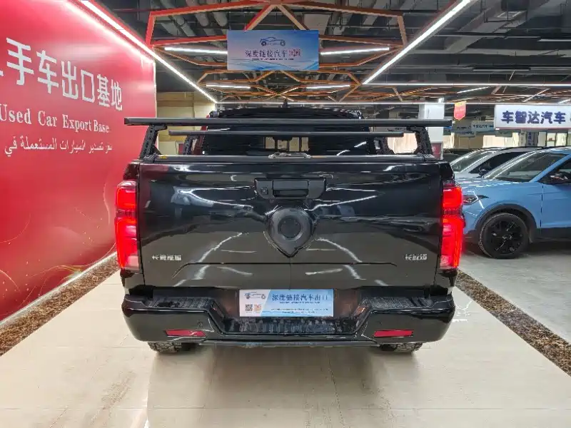 Great Wall Pao 2024 2023 2.0T Commercial Auto Diesel 4WD Elite Long Box GW4D20M