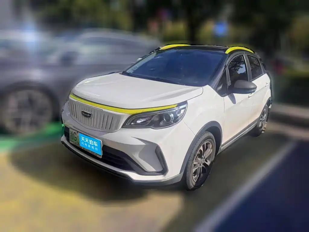 Geely Geometry EX3 Kung Fu Bull 2021 2021 Kung Fu Niu Niu