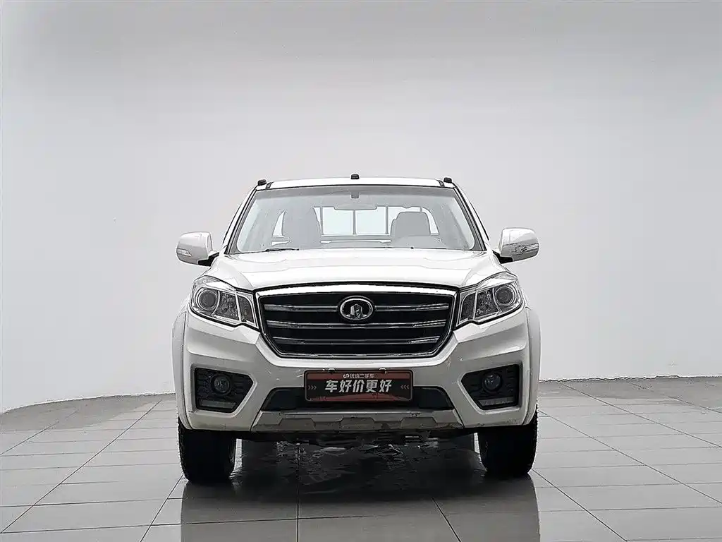 GREAT WALL FENGJUN 6