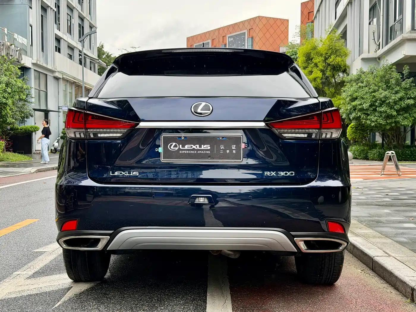 Lexus RX 2020 Facelift 300 AWD Elegance Edition фото 19