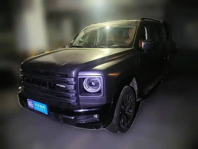Haval H9 2024 2.0T Gasoline AWD Pioneer Edition — фото 1