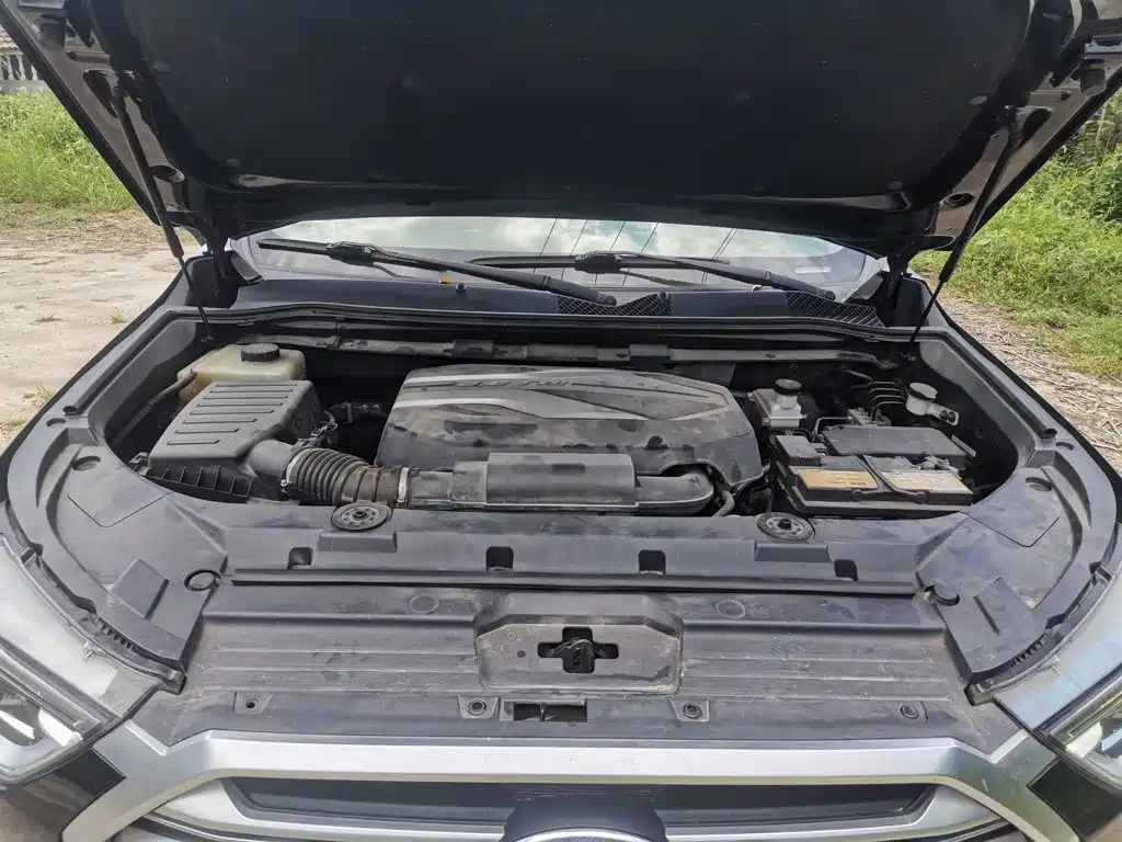 SAIC Maxus D90 2017 2017 2.0T Automatic 4WD Sirius