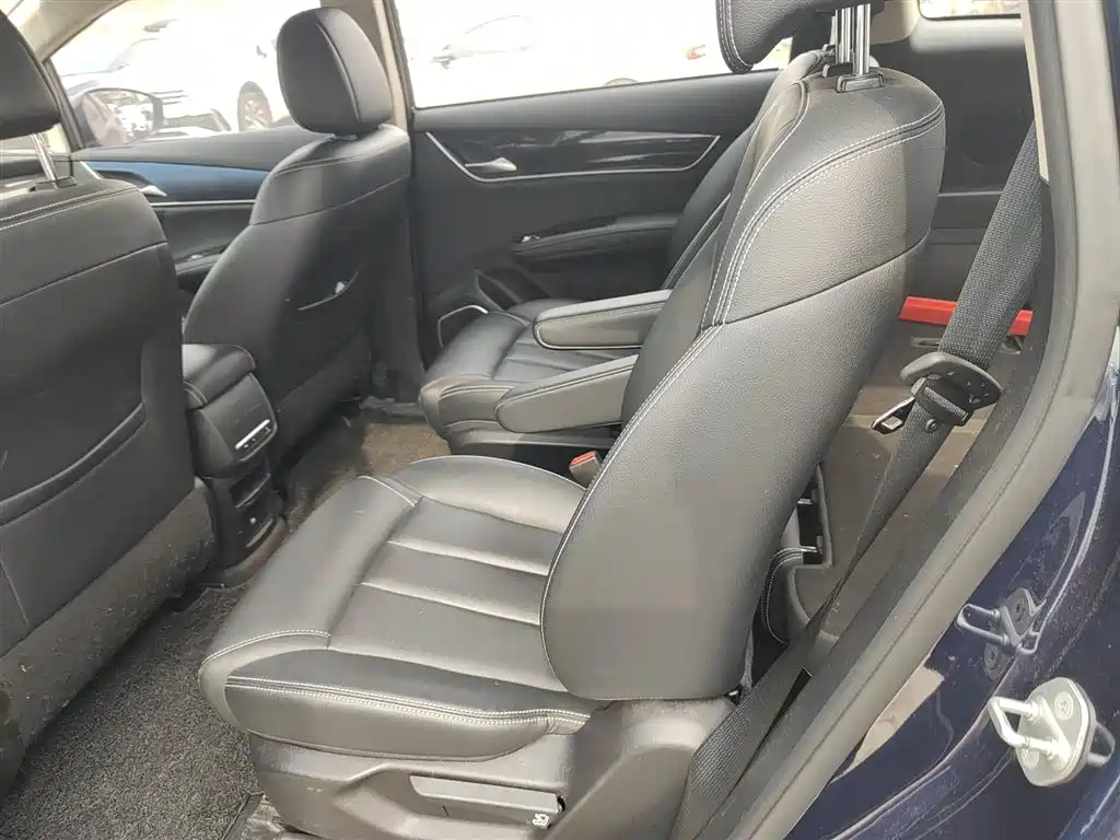 BYD Song MAX 2019 1.5T Auto Smart Connect Progressive 6-seater China VI фото 11