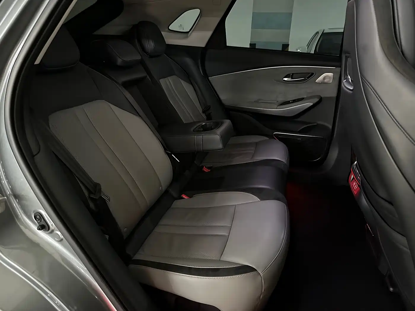 Aion LX 2020 2019 Model 80