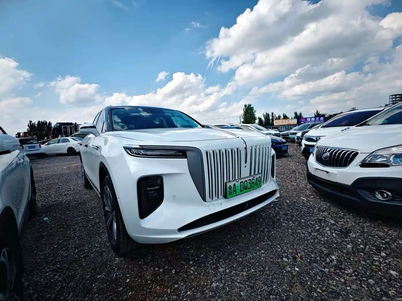 Hongqi E-HS9 2022 2021 460km Flagship Comfort 6-seater