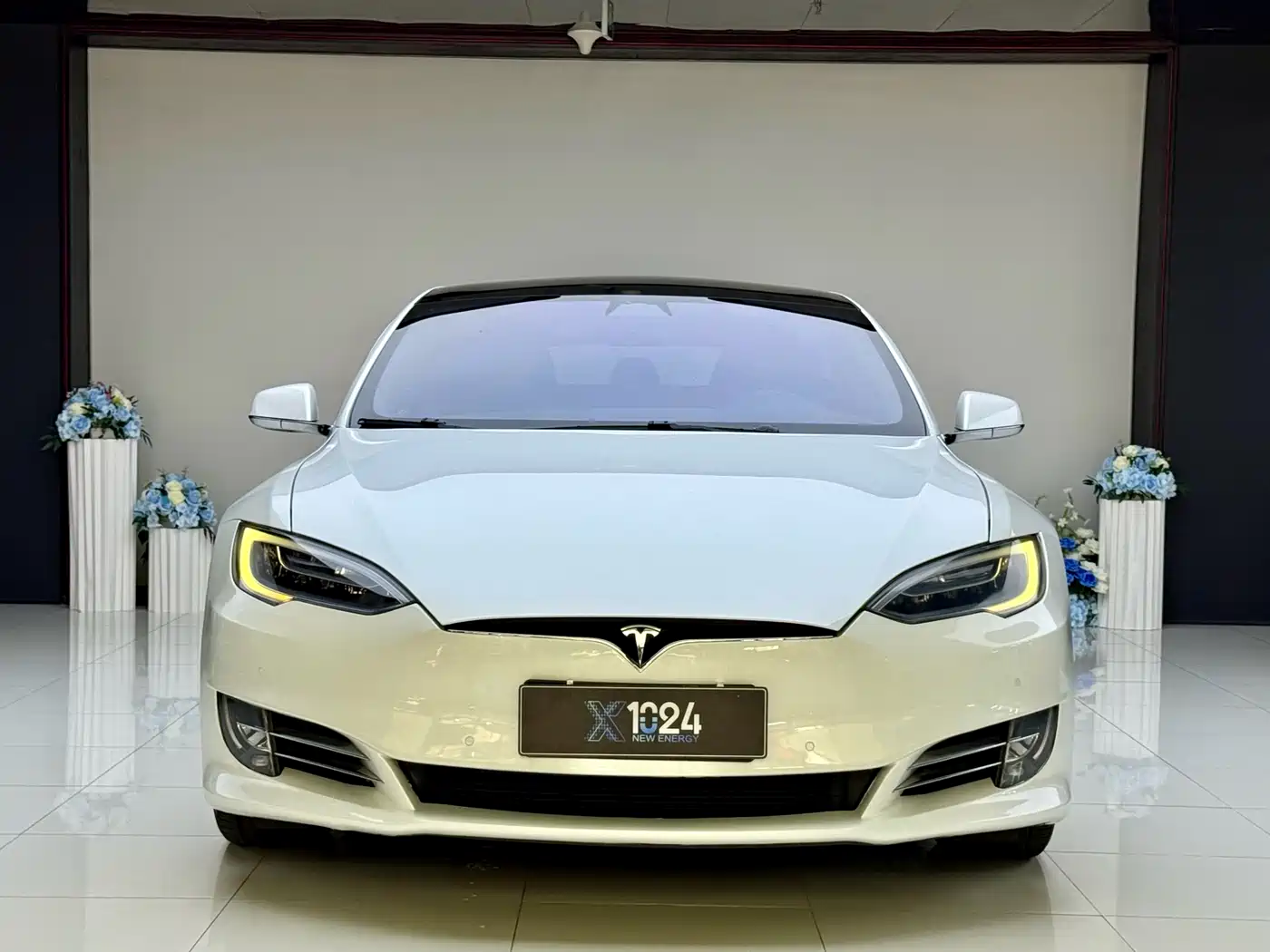Tesla Model S 2019 2019 Long Range Version