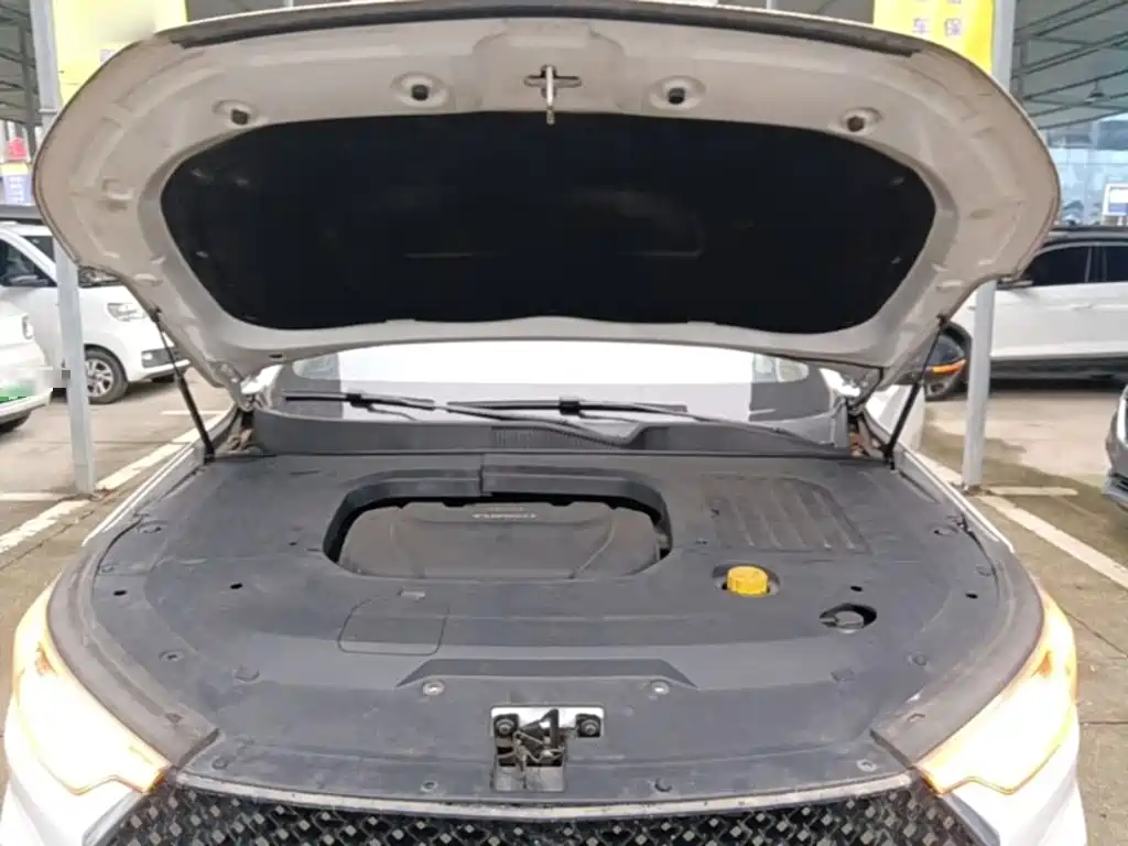 Baojun RC-6 2021 2019 1.5T CVT 24-hour Online Premium