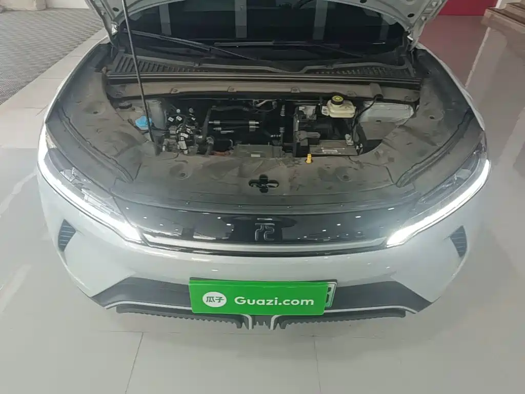 BYD Yuan UP 2024 2024 401KM Vitality Edition