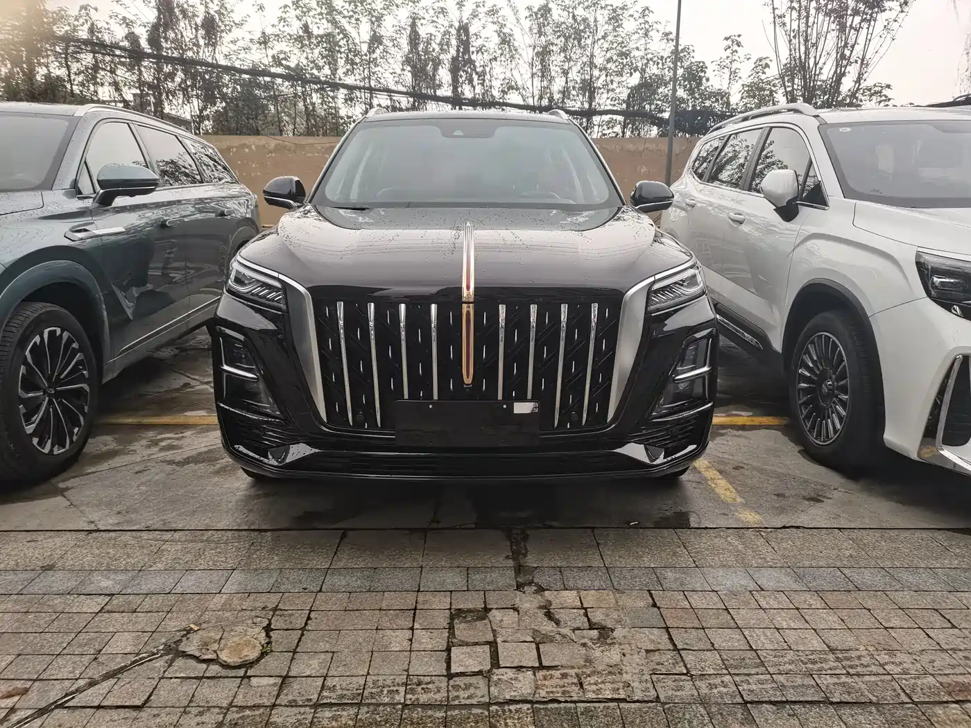 Hongqi HS5 2023 2.0T Flag Enjoy Pro Edition фото 2