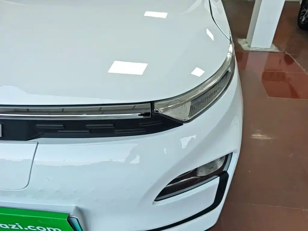 BAW (Beijing Automobile Works) Jiabao 2024 2023 Joy Enjoyment Edition