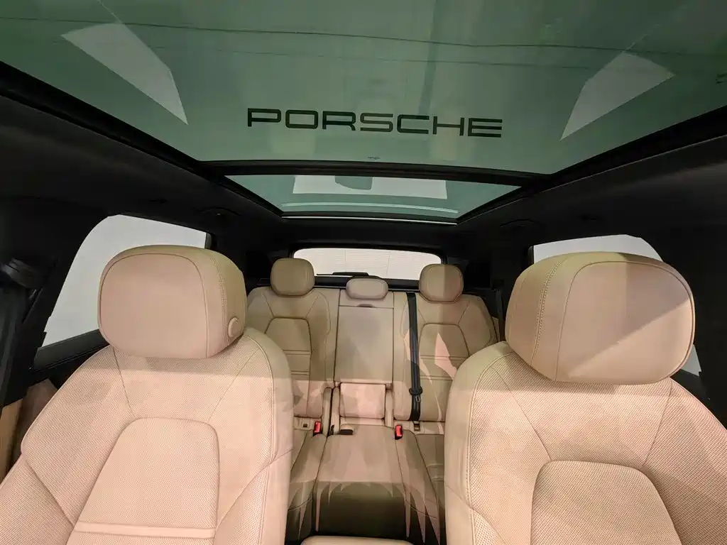 Porsche Cayenne 2022 Cayenne 3.0T Platinum Edition фото 16